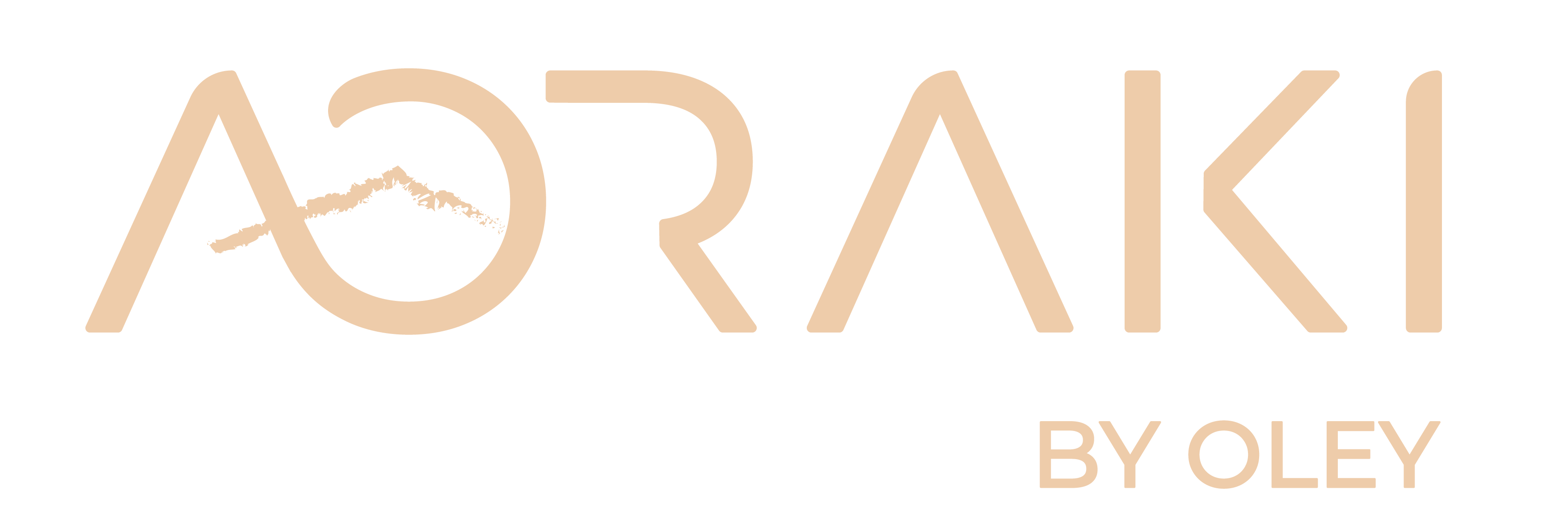 Logo AORAKI by Oley Workshop — aménagement Mercedes Sprinter 4×4 L2H2