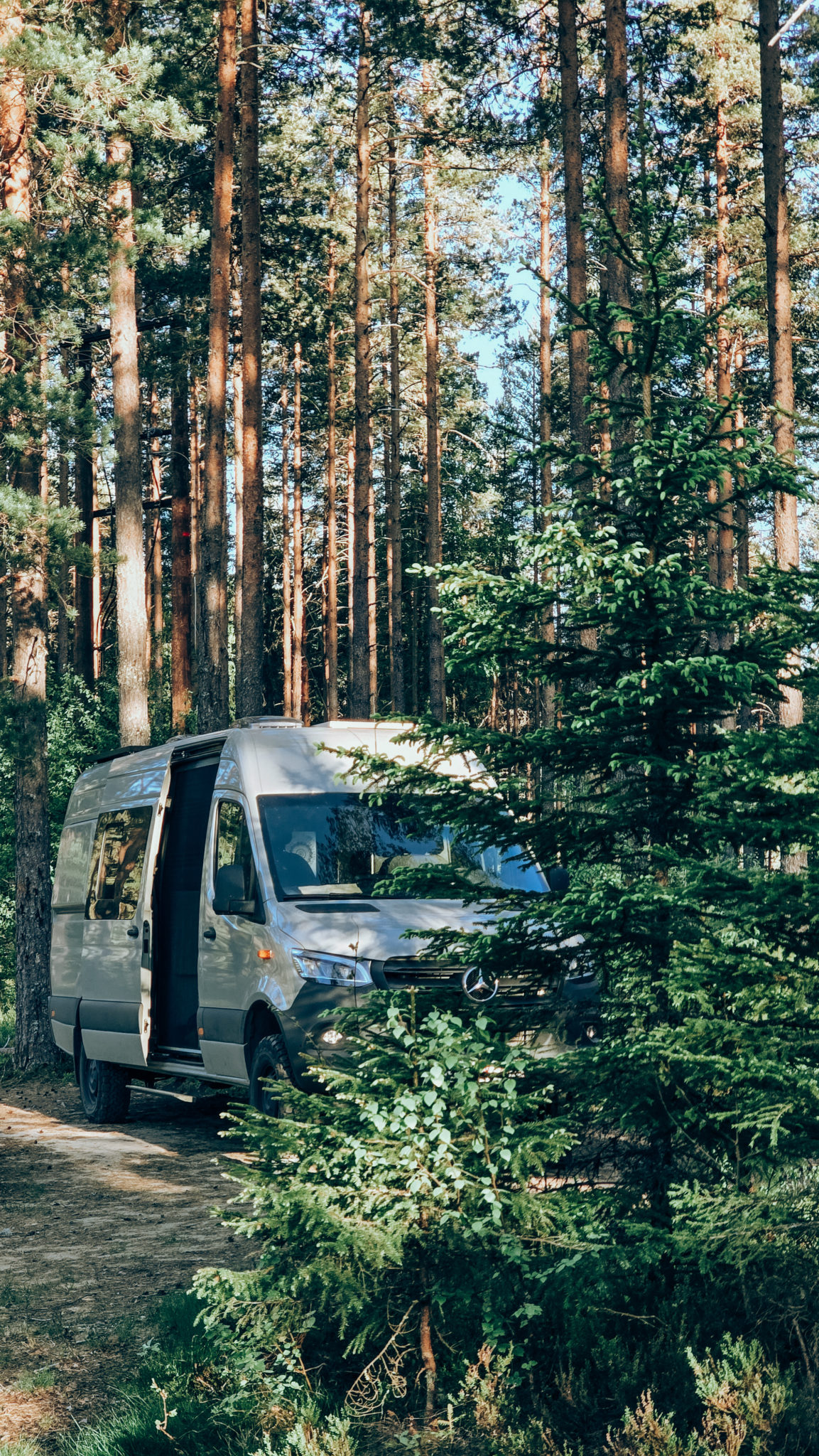 Mercedes Sprinter aménagé en van de voyage stationné dans une forêt de pins, prêt pour le bivouac et l’aventure en pleine nature.